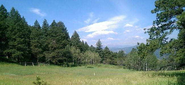 Manor House Campsite