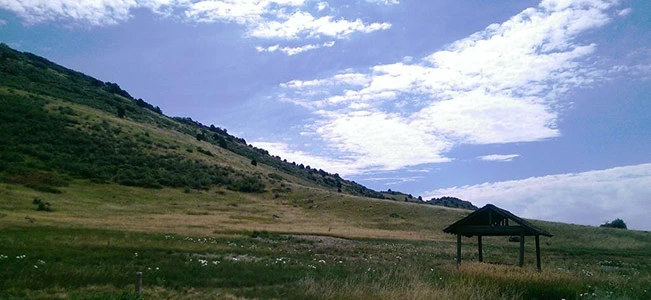 North Hogback Campsite
