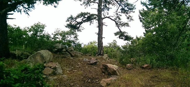 Silver Cliff Campsite